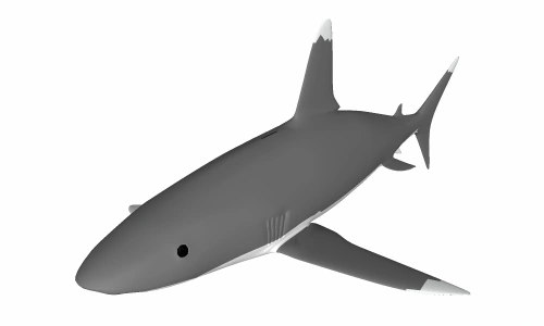 鲨鱼001