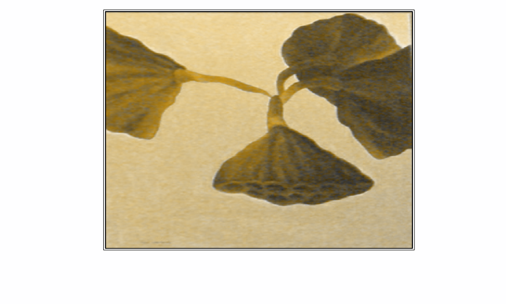 装饰画26