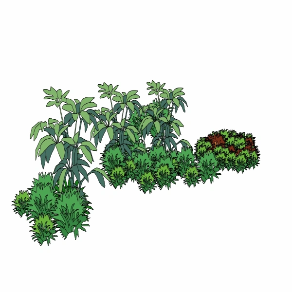 3D植物群落6