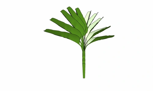 3D棕榈科模型28