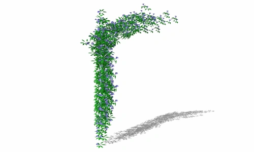 3D藤本植物5