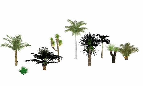 3D热带树类2
