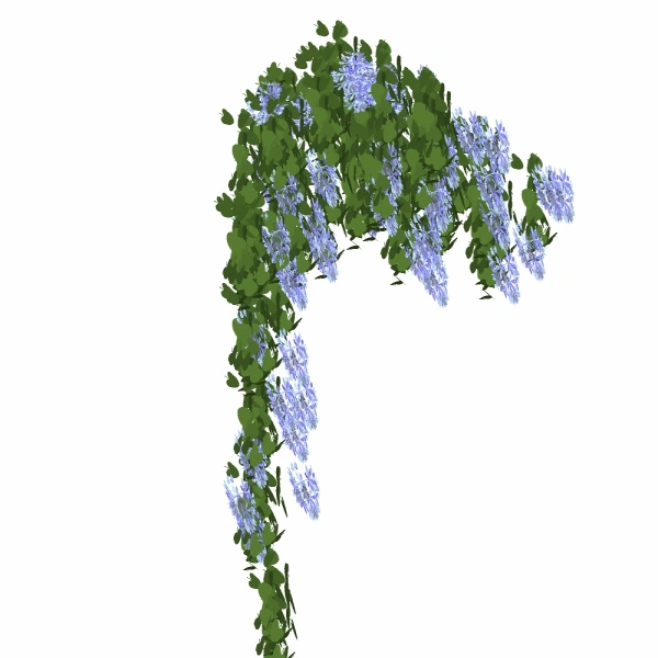 3D藤本植物14