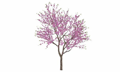 树-紫晶6