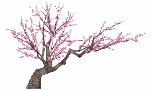 桃花树2skp