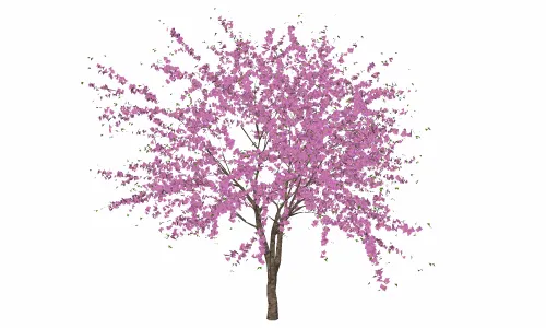 树-紫晶4