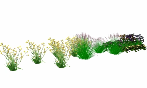 3D植物群落3