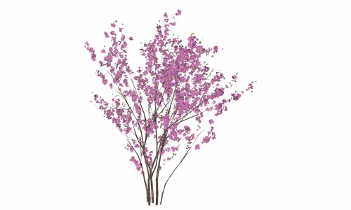 树-紫晶3
