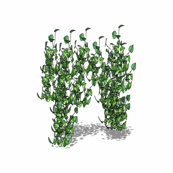 3D藤本植物21