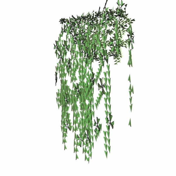 3D藤本植物7