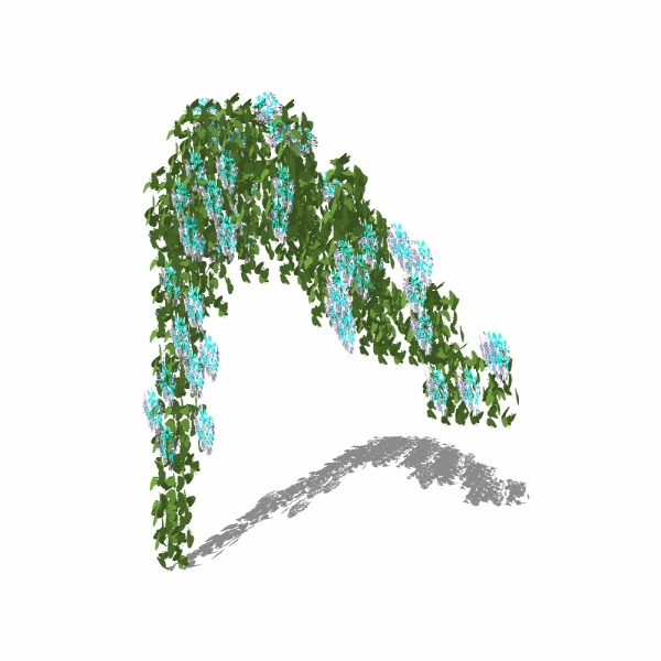 3D藤本植物19