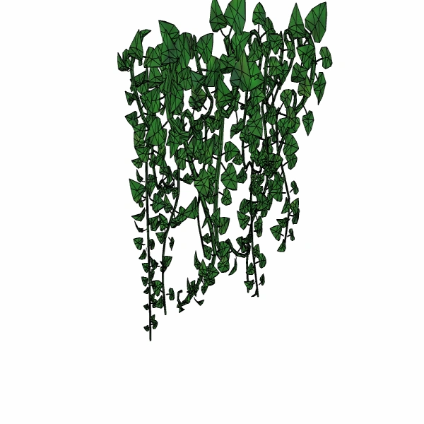 3D藤本植物13