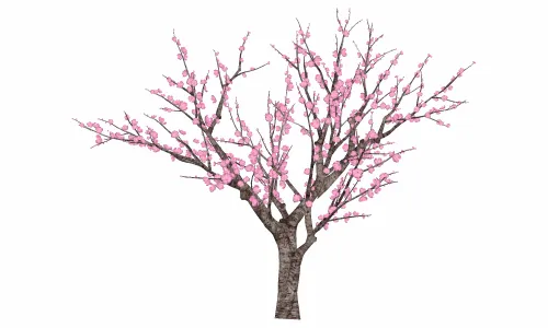 桃花树1
