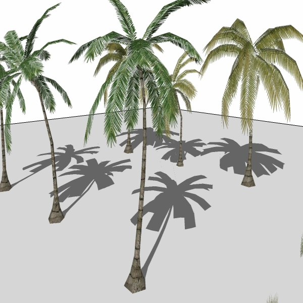 3D棕榈科模型19